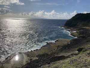 IMG_7559