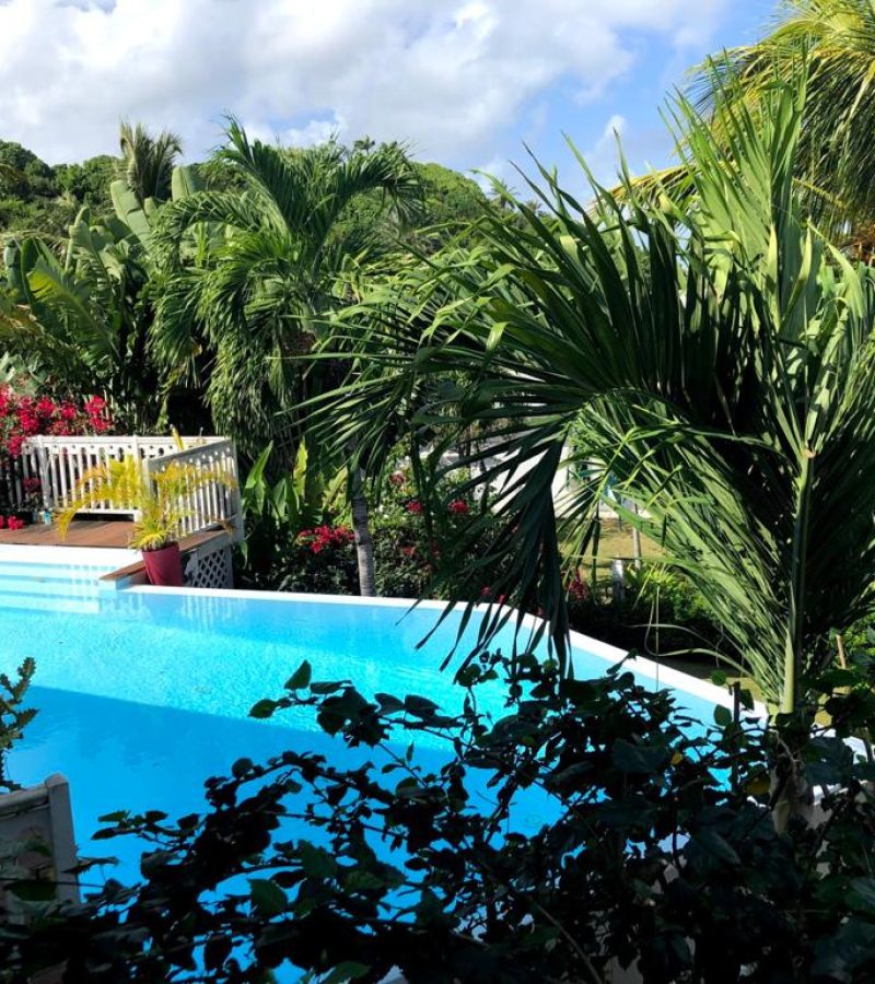 PHOTO-2021-04-04-17-28-29