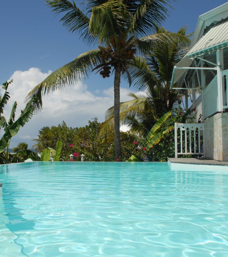 Piscine et cocotier - horizontale