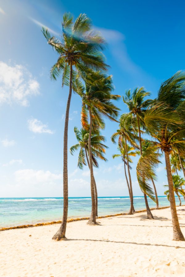 Plage-de-Bois-Jolan-Sainte-Anne