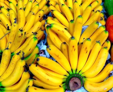banane-guadeloupe-martinique-34864_w800