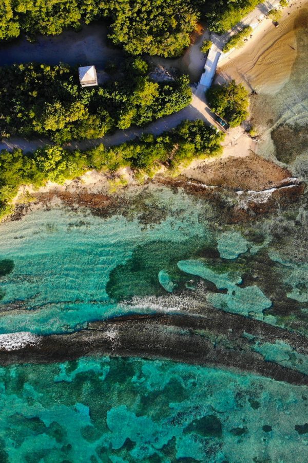 Souffleur Beach, Guadeloupe - drone point of view.