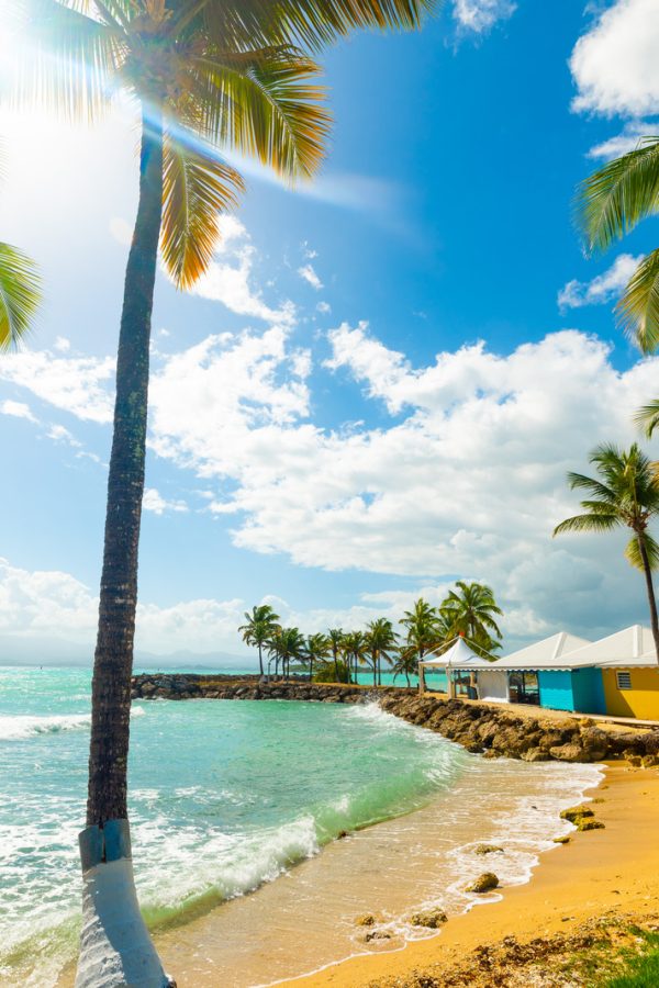 Sun shining over beautiful Bas du Fort beach in Guadeloupe, French west indies. Lesser Antilles, Caribbean sea