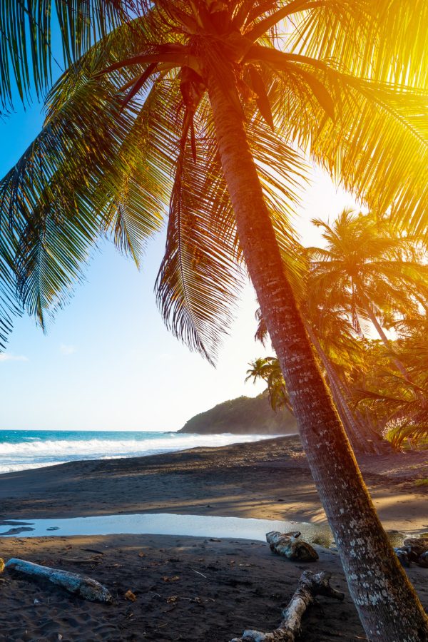 Sunset in Guadeloupe, French west indies. Lesser Antilles, Caribbean sea